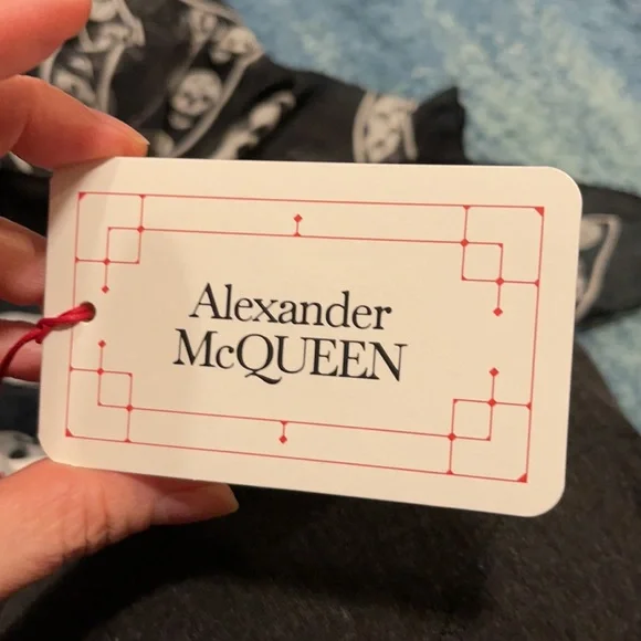 Alexander McQueen Printed Silk-chiffon Scarf NWT - Picture 4 of 8